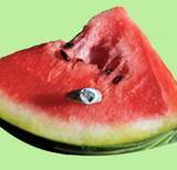 Fruity Twist - Watermelon - Contrast Signet